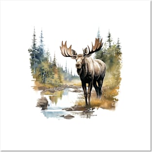 Wild Moose Posters and Art